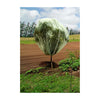 9.8' x 9.8' Fruit Tree Cover