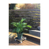 15" Black Square MaxiGrip Plant Caddy