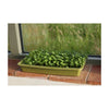 Microgreens Growing Mat 3pk