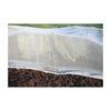 12' x 12' Pre-Cut Micromesh Blanket