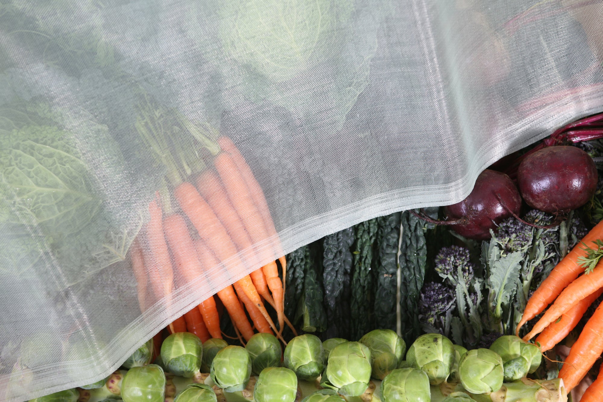 8' x 8' Pre-Cut Micromesh Blanket