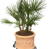 12.5" to 18.5" Adjustable Metal Plant Caddy