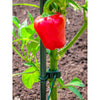 Plant Support Plant Tie 7" 15-pk