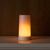 LED Flickering Light w/6 Hr Timer (Set of 2) 5"H Plastic (USB charger not included) W/RMT