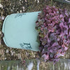 Wildfire Stonecrop (Sedum wildfire) - QT