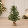Mini Pine Tree 2'H (Set of 2) PVC