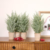 Potted Icy Pine Tree (Set of 4) 15”H Plastic/Paper