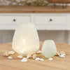 Vase 6.5"D x 7.5"H Glass