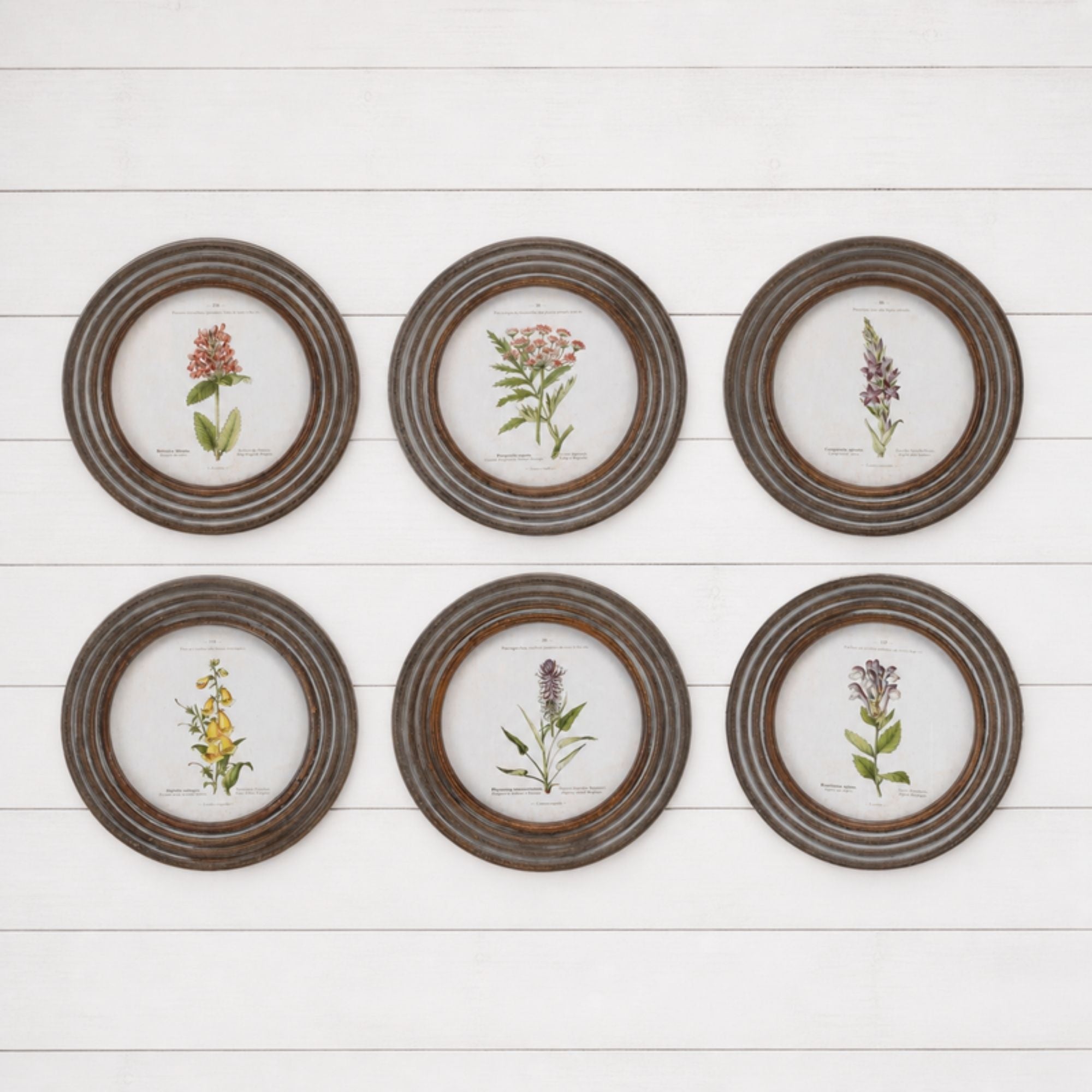 Framed Floral Print (Set of 6) 9.5”D Wood/MDF/Glass