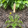 DeWit Weeder - Dandelion