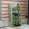 Single Light-Booster Plant House