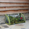 Light-Booster Coldframe
