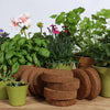 Coir 100g Disc x 10 Pack - Growlite Premium