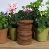 Coir 20g Disc x 10 Pack - Growlite Premium