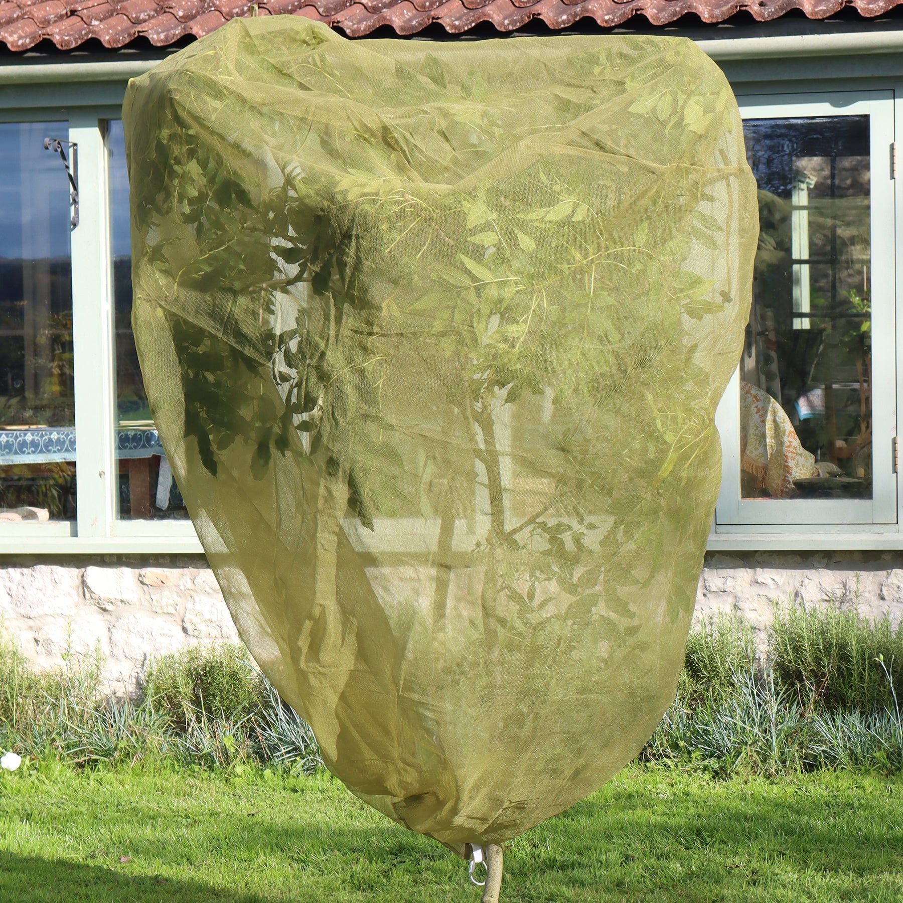 3.3' Fruit Tree Cover