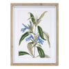 Framed Floral Print (Set of 4) 13.75"L x 17.5"H Wood/MDF/Glass