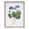 Framed Floral Print (Set of 4) 13.75"L x 17.5"H Wood/MDF/Glass