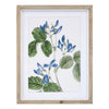 Framed Floral Print (Set of 4) 13.75"L x 17.5"H Wood/MDF/Glass