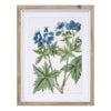 Framed Floral Print (Set of 4) 13.75"L x 17.5"H Wood/MDF/Glass