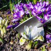 DeWit Tool Gift Set - Starter Intro to Gardening