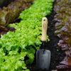 DeWit Tool Gift Set - Starter Intro to Gardening
