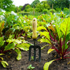 DeWit Tool Gift Set - Starter Intro to Gardening