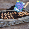DeWit Tool Gift Set  -  Repotting/Transplanting