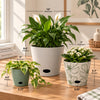 Self-Watering Plant Pot Set of 3 5" Sage Green 7" Green Flower 10" Cream