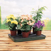 Large Green Self-Watering Tray