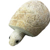 10" Boulder Turtle