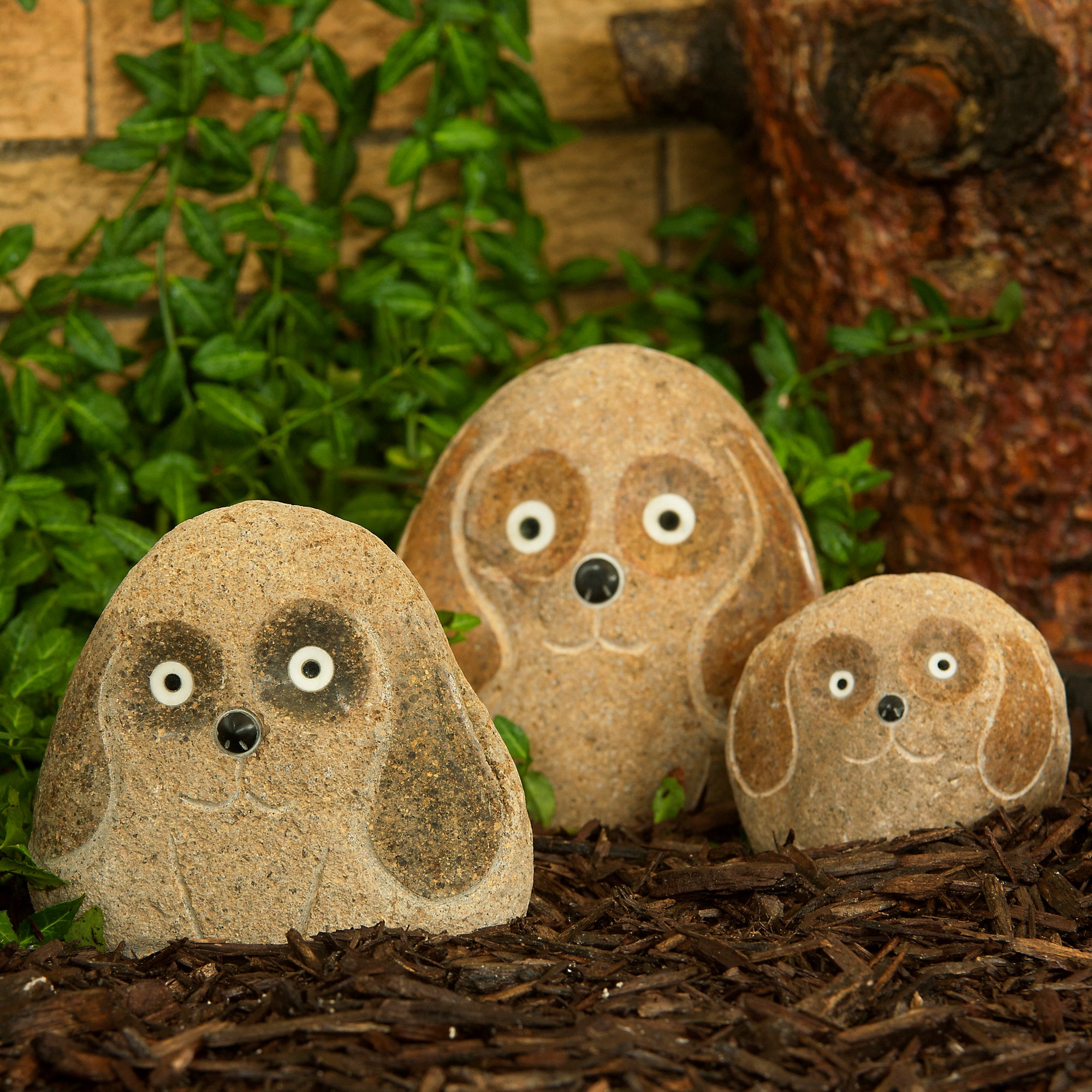 Family of Boulder Dogs 3 Pcs 4"6"8"