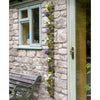Tall Wall Plant Holder