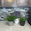 6.3" White 5.5" Silver 5.1" Anthracite 3 Piece Set of Ceramic Boston Pots