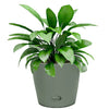 7" Sage Green Round Self-Watering Bamboo Pot