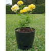 7" Black Round Self-Watering Bamboo Pot