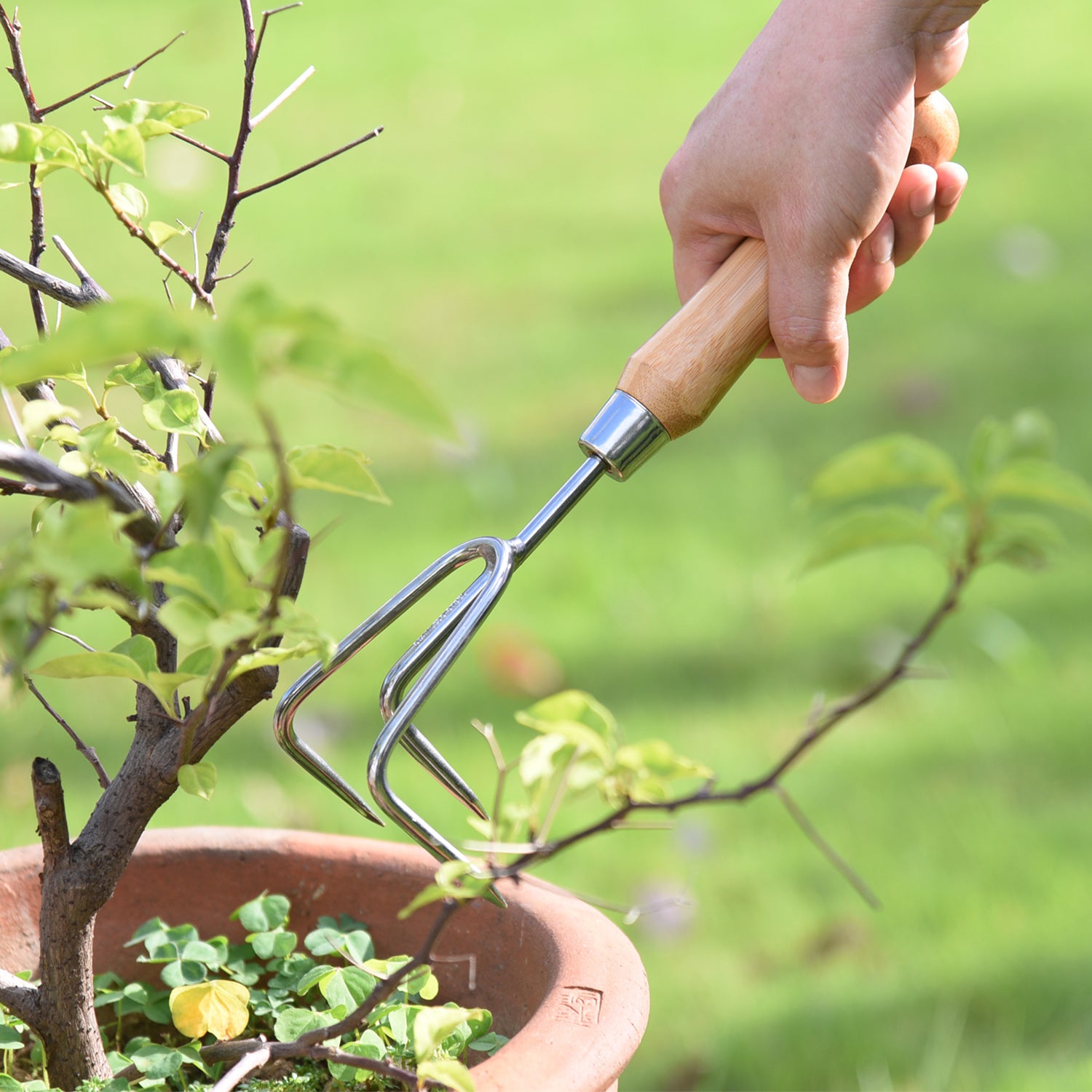 Stainless Steel Cultivator with Bamboo Handle