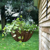 16" York Deluxe Hanging Basket with Coco Liner