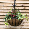 16" Cambridge Premium Hanging Basket with Coco Liner