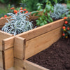 Tiered Five Section Raised Bed