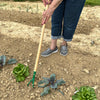 Kid's 3 Tine Cultivator