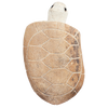 10" Boulder Turtle