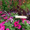 DeWit Cultivator - 3 Tine