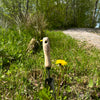 DeWit Trowel - Rock N Root