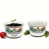 Carrot Grow Kit | Seeds In A Cup®