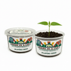 Cumin Grow Kit | Seeds In A Cup®