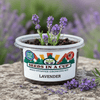 Lavender Grow Kit | Seeds In A Cup®