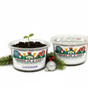 Lavender Grow Kit | Seeds In A Cup®
