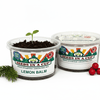 Lemon Balm Grow Kit | Seeds In A Cup®