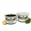 Lettuce Grow Kit | Seeds In A Cup®