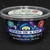 Mystery Plant Grow Kit — Surprise Seeds In A Cup® with Premium Soil, Non‑GMO Seeds, Dual‑Purpose Lid/Saucer, and Easy How‑to‑Grow Instructions